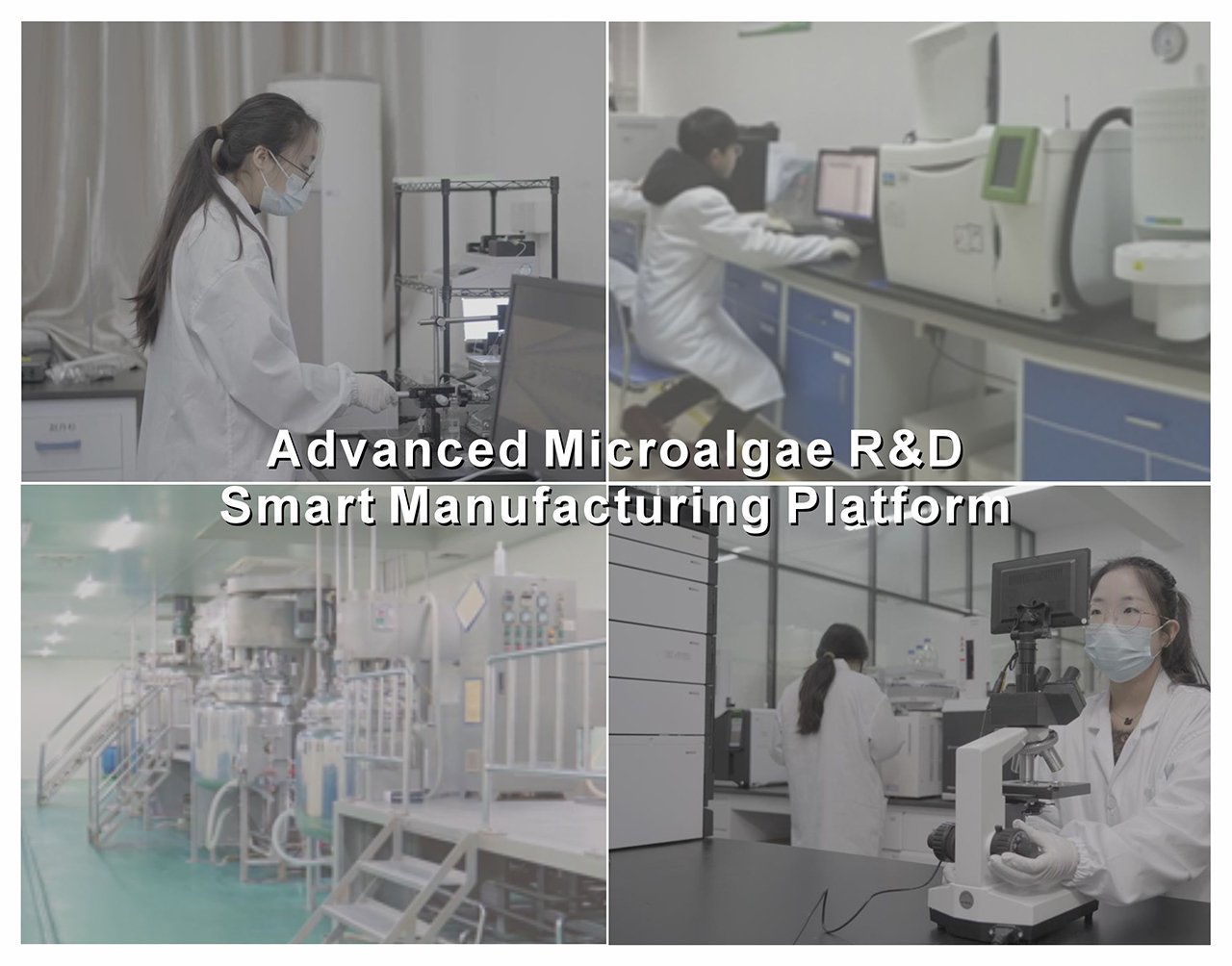 Advanced microalgae R&D and smart manufacturing platform for producing high-quality omega-3 DHA algal oil and natural bioactive ingredients.