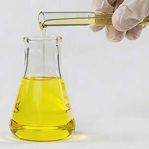 Algal DHA Oil Triglyceride Type from Schizochytrium Microalgae for Omega-3 Supplements and Infant Formula