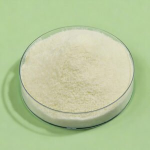 DHA microencapsulated powder omega-3 algal oil 7-20% high stability for infant formula and dairy nutrition applications