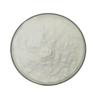 Omega-6 ARA Microencapsulated Powder (Dairy-Based) arachidonic acid powder for infant formula, dietary supplements, and functional food applications.