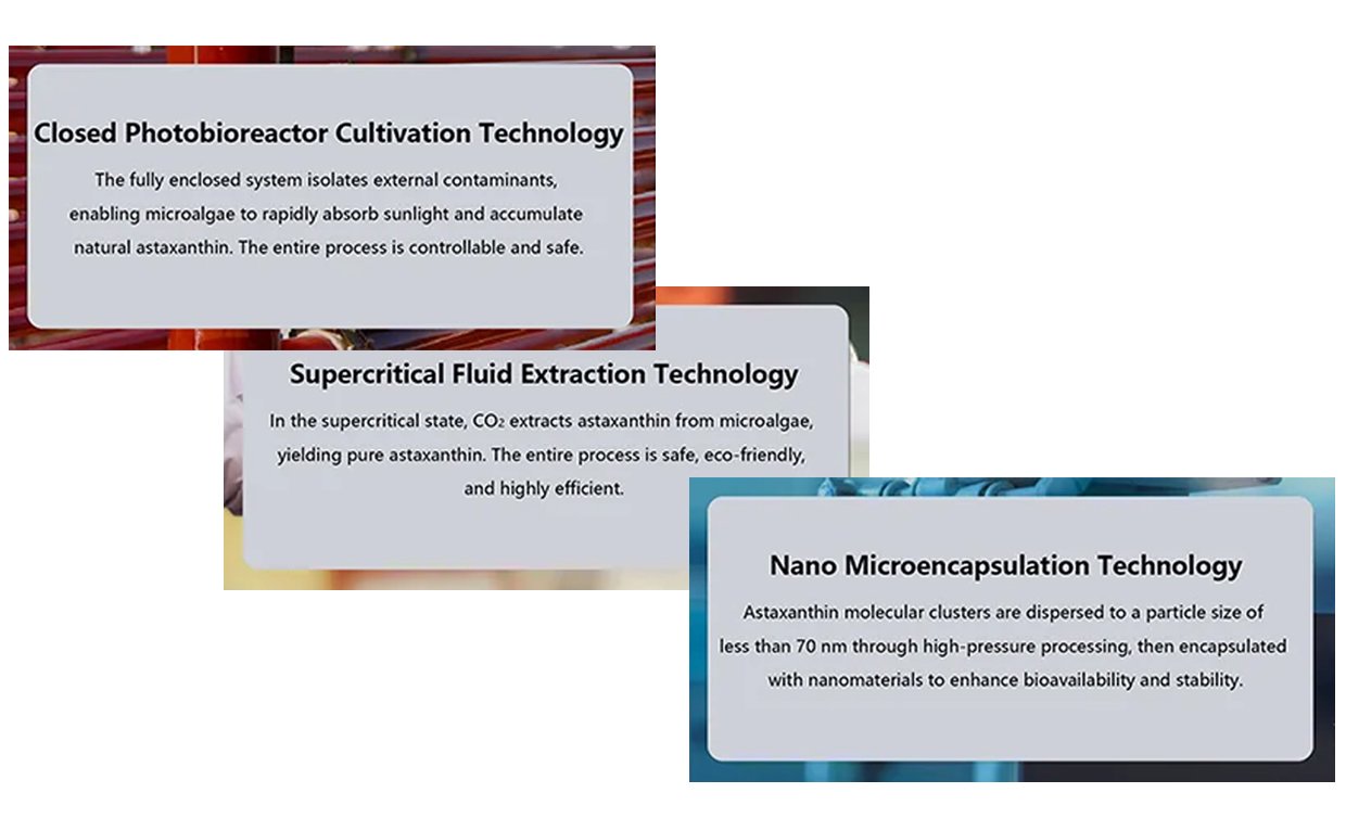 Astaxanthin softgel vs powder comparison for nutraceutical and food applications