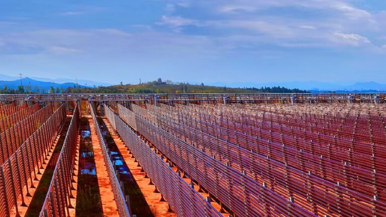How to choose a reliable astaxanthin supplier for stable quality and bulk supply