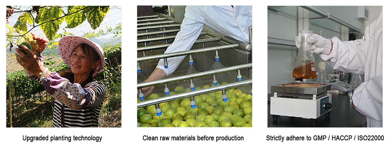 Quality Management of Monk Fruit Extract with strict testing, traceability, and international quality control standards
