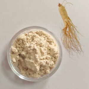 Enzyme-hydrolyzed ginseng powder made from Panax ginseng