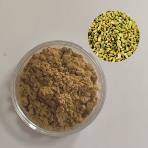 Enzyme-Hydrolyzed Sophora Flower Bud Powder