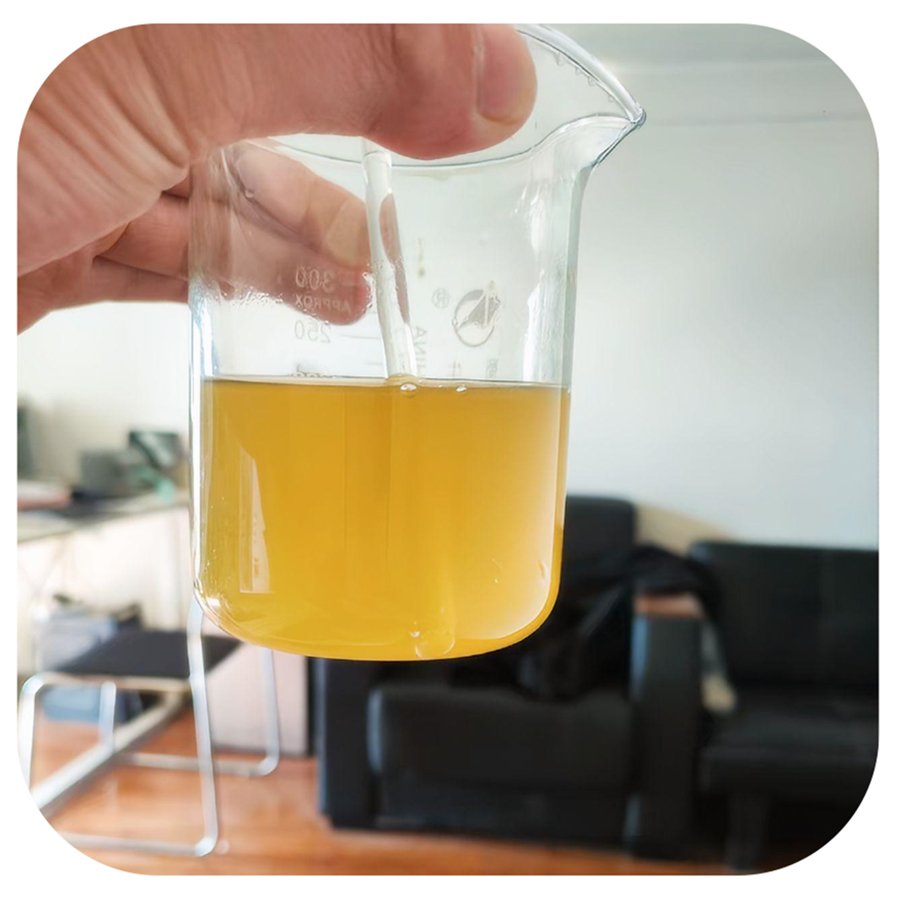 Water-soluble Dendrobium officinale hydrolysate powder