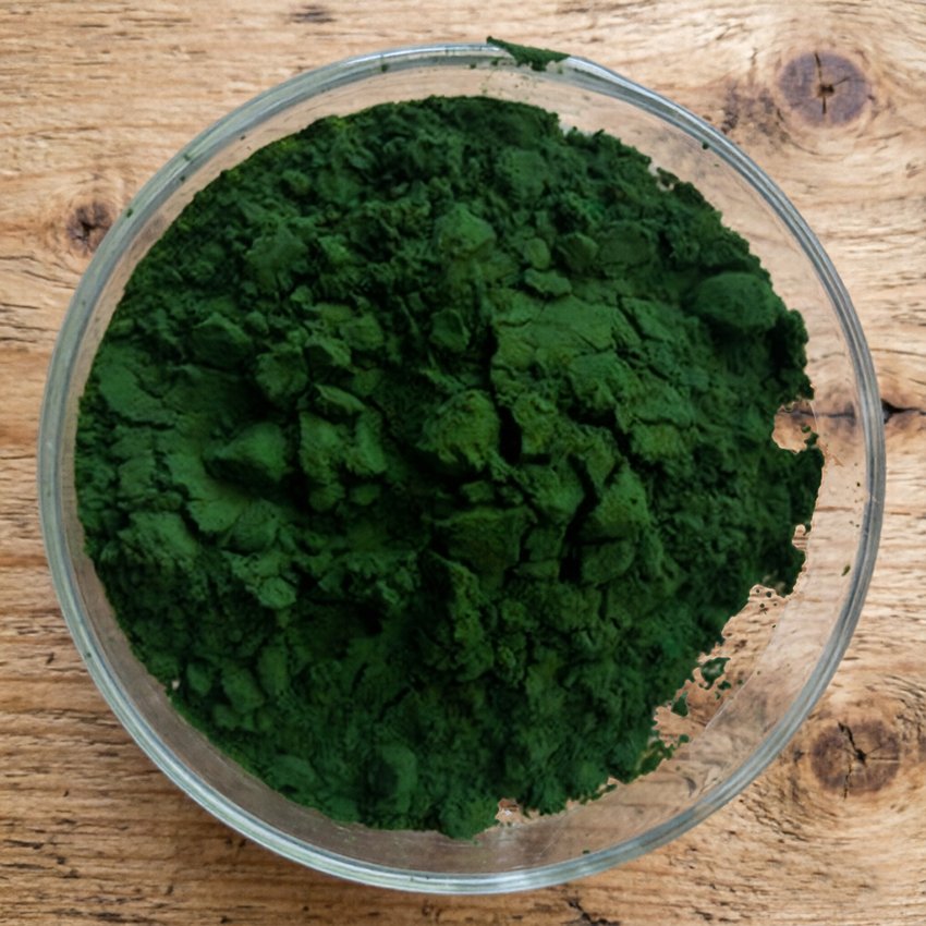 Sodium Copper Chlorophyllin 95% powder from alfalfa